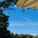 탄금대궁도장 이미지