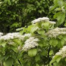 송도 해돋이공원 이미지