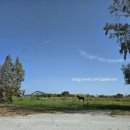 (주)가나다렌트카 (연수) | 그리스 튀르키예 2주 신혼여행 자킨토스 섬 렌트 숙소 맛집 가볼만한 곳 나바지오해변