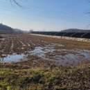 여주-1043 이미지