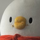 신혜농장 | Attention Plz, 나으 1월 일상을 공개하겠읍니다.