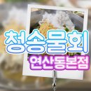 자연산청송횟집 | [연산동맛집]여름 물회가 맛있다는 엄청 소문난 연산동 물회맛집 청송물회 연산동본점에 방문한 썰!!!