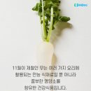 무 - 76736 | 무