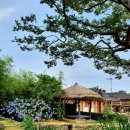 강진신발 이미지