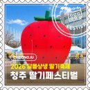 11650-17-62-5 | [청주] 2026 딸기 페스티벌 후기｜4월 청주 가볼만한곳 무료 딸기, 체험 총정리