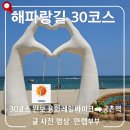 영웅바이크 | 삼척 가볼만한곳 해파랑길 30코스 총정리: 용화레일바이크부터 황영조기념공원, 궁촌까지 걷기 여행