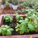 광선농장 이미지