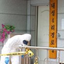 압수 경로당 이미지