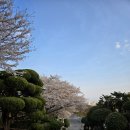 비엔비 펜션(BnB) | [남포동 펜션 추천 + 가족여행 숙소 + 2025 부산 여행 숙소 찾기]