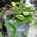 팔도화원 이미지