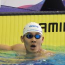 수영 카카오 검색결과