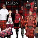 에이스체크 이미지