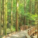 치유의 숲 주차장 화장실 이미지