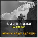 사회복지법인 청전 부산수영시니 | 일백마블 지역감각 : ESG 특구! 관악, 요람에서 무덤까지 실천 특구 (230403)