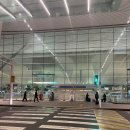 라이온 호텔 | 여행 - 도쿄 1 일차 기록 (임산부 인천공항 우선 통로 이용후기,다이이치호텔, 라이온비어홀, 로손 편의점)