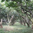 유빈농장 이미지