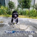 이솔초등학교 이미지