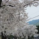 취병경로당 네이버블로그