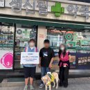 성신필약국 앞 네이버블로그