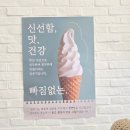 얼루기목장 이미지