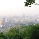 우면산자연생태공원 네이버블로그