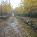 장성성산초등학교 | 담양 병풍산 /만남재 임도길 산책후기 (성산초등학교총동창산악회)