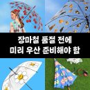 장마철 우산 챙기기 이미지