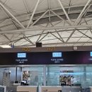 G170 | [25 상하이] 인천~상하이 춘추항공 9C8566/9C8565 후기 (기내용캐리어 주의!)