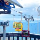 영천1구경로식당 | 겨울 등산은 엄두가 안 나는데… 팔공산 케이블카 타고 인생 설경 만났어요! (꿀팁 대방출)