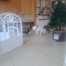 초로동물병원 이미지