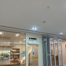 숲 동물병원 펫스테이션점 네이버블로그