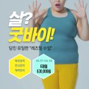 태동체육관(태권도) | 당진 레즈밀 수업, 급진급빠! 다이어트는 곽우철복싱 기지시점으로