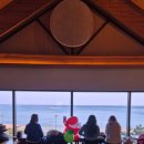 바다가 보이는 풍경 | 해운대 수월경화｜송정해변 열차와 바다가 보이는 오션뷰 카페 후기