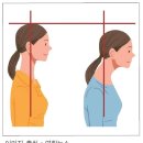 필라테스 모먼트 네이버블로그