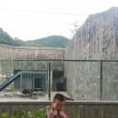 참스민 이미지