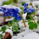 최선영농조합법인 이미지