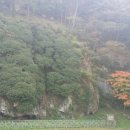 대명성짬뽕 이미지