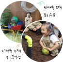 대전 아기랑 체험 가볼만한곳 고마워토토 대전점 분리수업 위드맘 둘다해본 후기