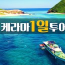 와따투어 이미지