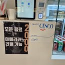 광교브런치카페 유어오드리 애견동반 방문 후기