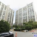 사파동203 이미지