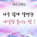 네일은(Nail,은) 이미지
