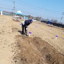 마정농장 이미지