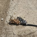 오포1동-3 이미지