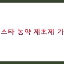 안심2농로 | 신스타 농약 제초제 가격 완벽 비교 분석 (2025년 최신 정보)