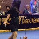 파라키스 이미지