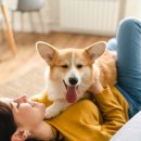 이프동물의료센터 이미지