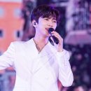 사파동195 이미지