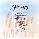 감성캘리그라피 이미지