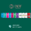 [교육후기] 김대희 원장님 부산 스톨즈아카데미 후기 (2024.12.15)